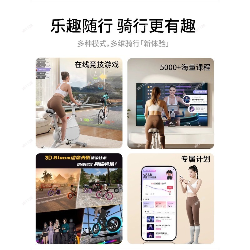 Silent Magnetic Resistance Spi - огляд і ціна Exercise Bike Magnetic Resistance